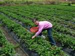 DSCN3279a