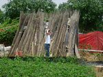 DSCN3296a
