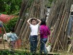 DSCN3297a