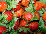 DSCN3302a