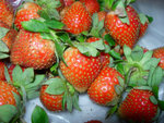 DSCN3306a