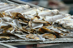 IMG_0796_1