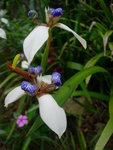 DSCN0957