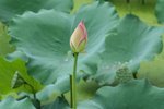 IMG_0905_1