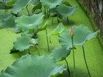 IMG_0045
