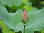 IMG_0047