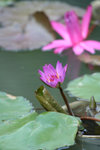 IMG_1026_1