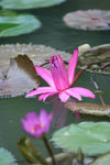 IMG_1027_1
