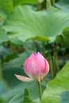 IMG_1056_1