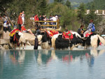 IMG_0601_1