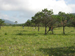 IMG_0615_1