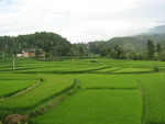 前往蝴蝶泉沿途風景
IMG_0642_1