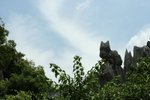 IMG_1525_1