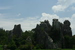 IMG_1530_1