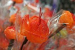 IMG_1553_1