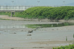 IMG_1570_1