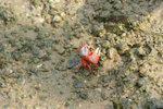 IMG_1575_1