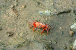 IMG_1576_1