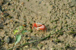 IMG_1578_1