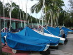 DSCN4596