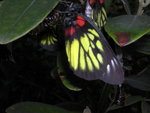 DSCN4607