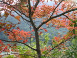DSCN4612