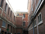 IMG_2107_1