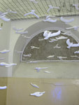 IMG_2185_1