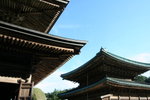 IMG_2604_1