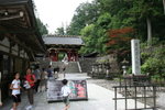 IMG_2889_1