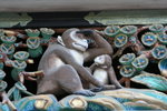 IMG_2913_1