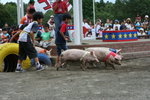 IMG_2962_1