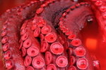 IMG_3049_1