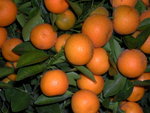 大吉大利
DSCN3876