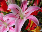 DSCN3889