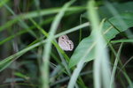 IMG_3107_1