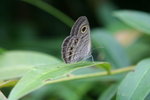 IMG_3110_1
