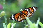 IMG_3280_1