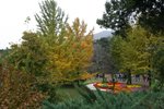 IMG_3323_1