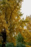 IMG_3325_1