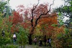 IMG_3329_1