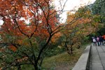 IMG_3333_1