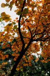 IMG_3337_1