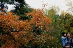 IMG_3362_1