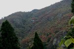 IMG_3373_1