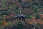 IMG_3379_1
