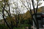 IMG_3405_1