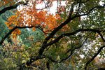 IMG_3409_1