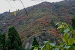 IMG_3410_1