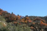 IMG_3456_1